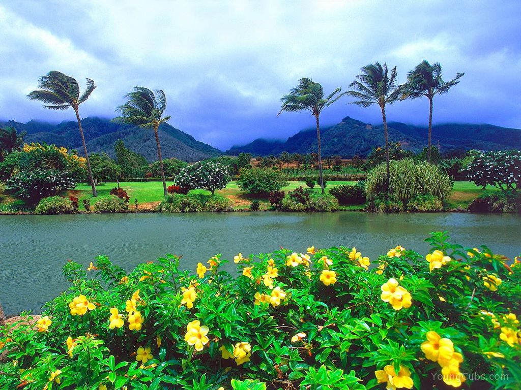 Maui Tropical Plantation, Hawaii